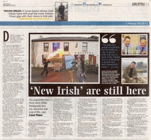 "New Irish" - Irish Examiner, March 2013